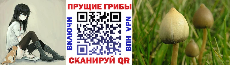 мега сайт Златоуст Галлюциногенные грибы Magic Shrooms